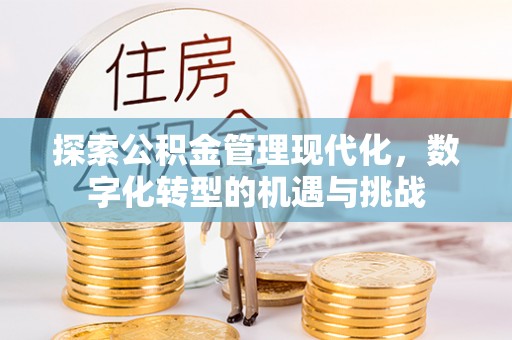 酒泉探索公积金管理现代化，数字化转型的机遇与挑战