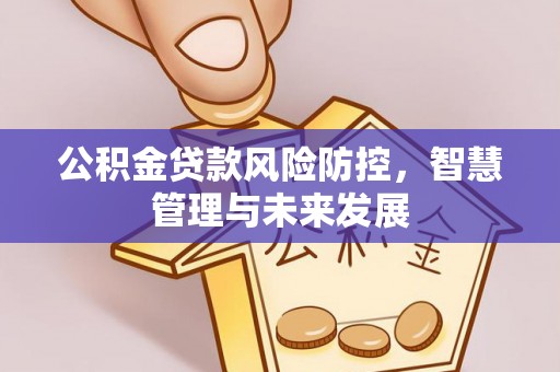 酒泉公积金贷款风险防控，智慧管理与未来发展