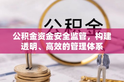 酒泉公积金资金安全监管，构建透明、高效的管理体系