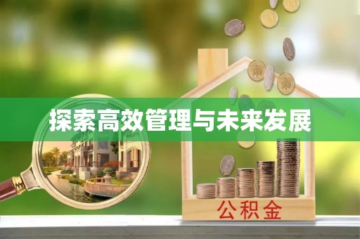 酒泉探索高效管理与未来发展