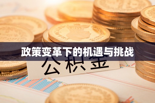 酒泉政策变革下的机遇与挑战