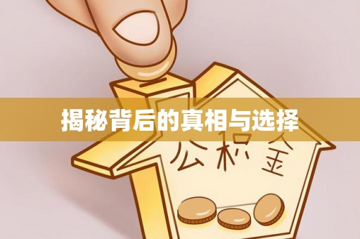 酒泉揭秘背后的真相与选择