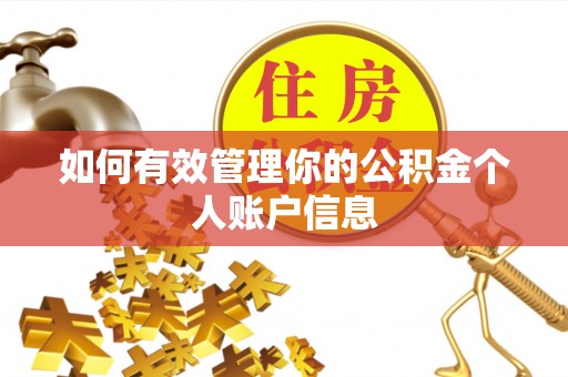 酒泉如何有效管理你的公积金个人账户信息