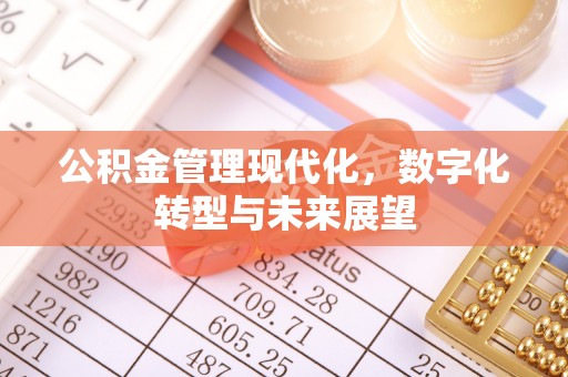 酒泉公积金管理现代化，数字化转型与未来展望