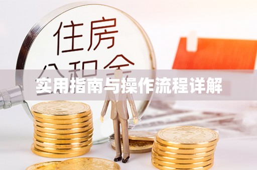 酒泉实用指南与操作流程详解
