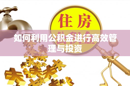 酒泉如何利用公积金进行高效管理与投资