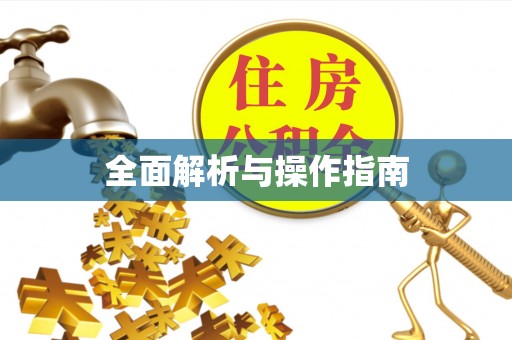 酒泉全面解析与操作指南
