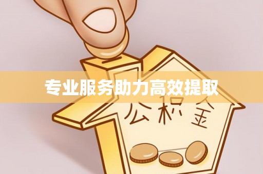 酒泉专业服务助力高效提取