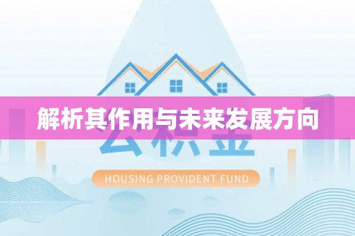 酒泉解析其作用与未来发展方向